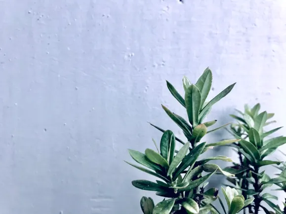 Хипозино Казино Поддръжка